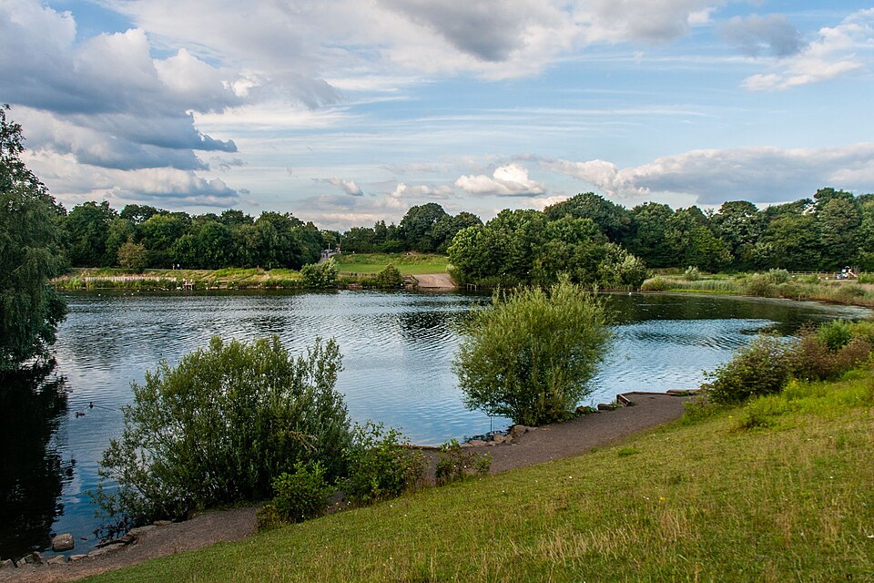 chorlton water park surrounded by greenery