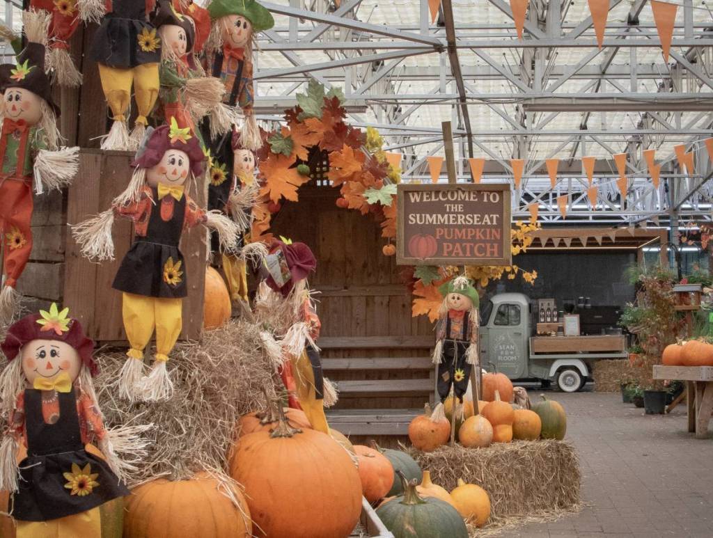 summerseat garden centre bury autumn