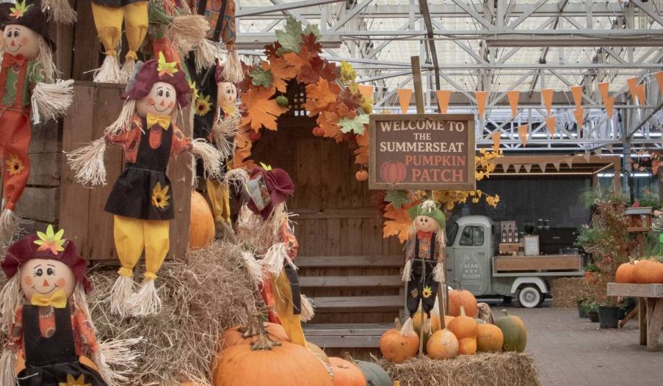 The family-run garden centre 25 minutes from Manchester with a free indoor pumpkin patch, autumnal woodland trail &amp; loaded hot chocolate