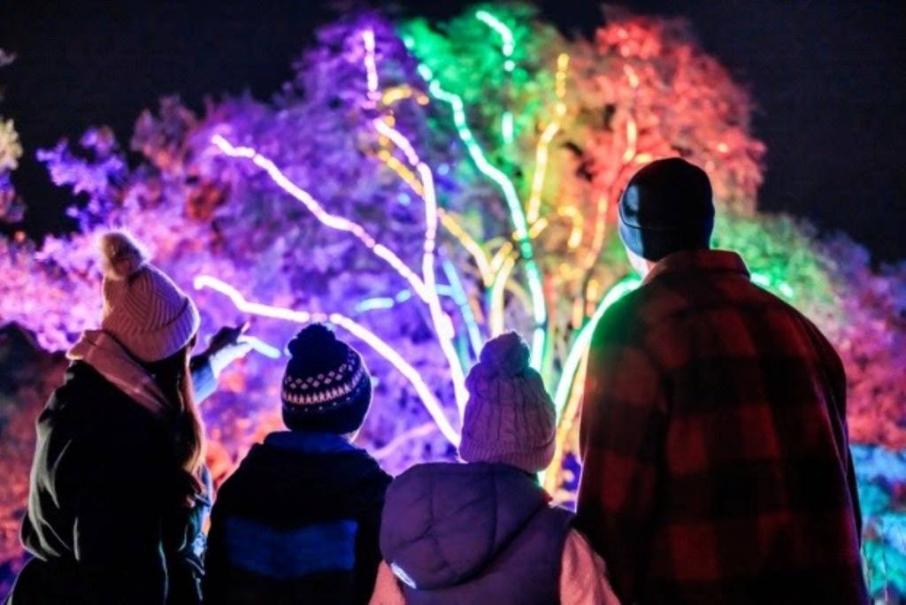 rhs garden bridgewater glow light trail