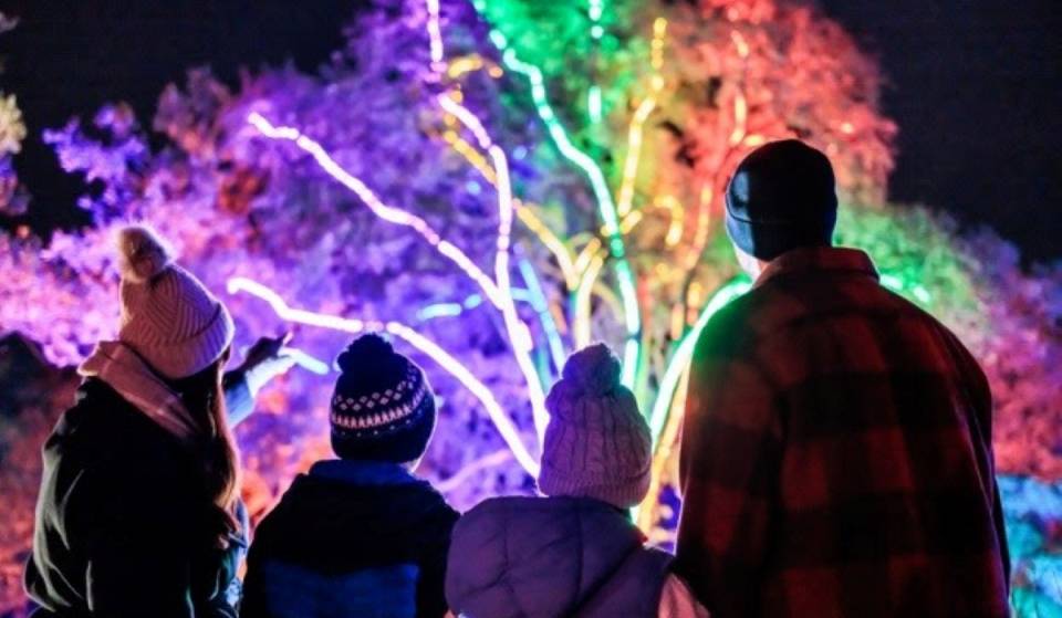 RHS Garden Bridgewater unveils a fire-breathing dragon on one of it’s stunning lakes for its reimagined festive light trail, returning this November