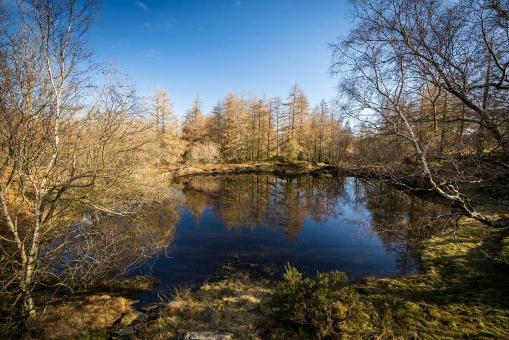 holme fell coniston lake district
