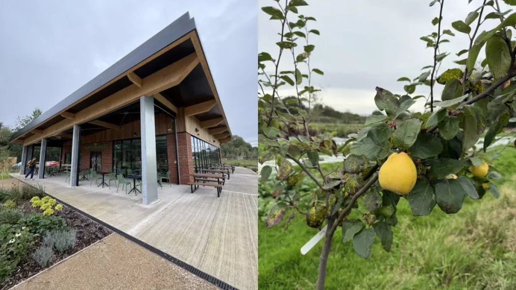 A 160-acre former Oldham landfill has transformed into the UK’s largest urban farm and eco-park – complete with a woodland forge, playground, and a farm-to-fork café