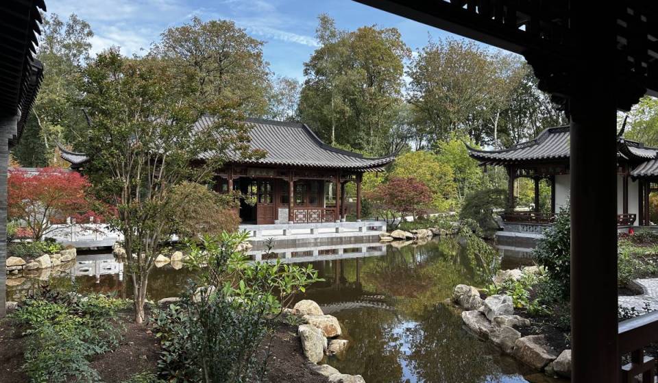 After eight years in the making, the UK’s largest Chinese garden is opening a stunning new landmark at RHS Garden Bridgewater this weekend — with striking autumnal horticulture celebrating the arts