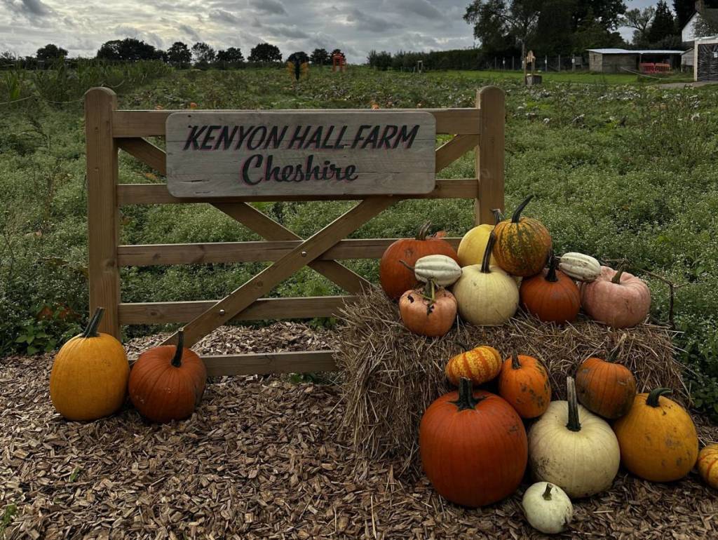 kenyon hall farm pumpkin patch
