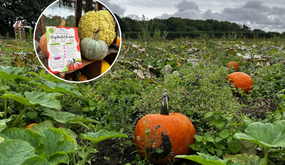 This farm just 30 minutes from Manchester has been named one of the best pick-your-own-pumpkin patches in the UK – with fire pits, s’mores, and carnival games