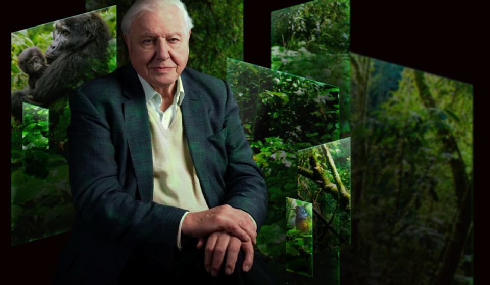 “The story of our planet”: Sir David Attenborough’s sell-out 360-degree exhibition is taking over Chester Zoo this weekend for its first major run outside London