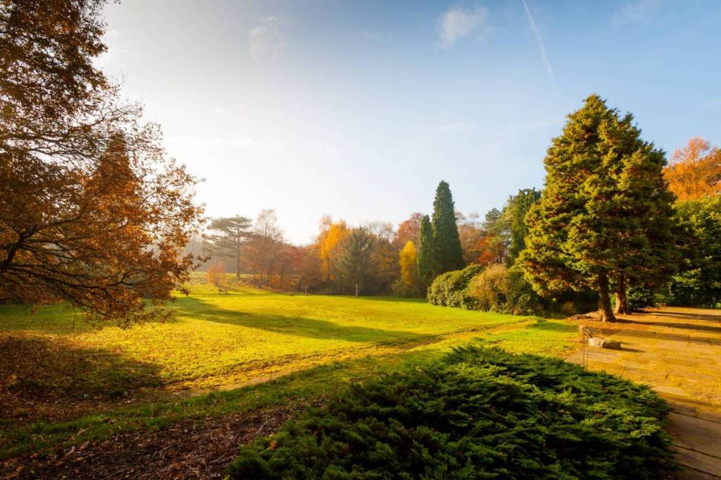 abney hall for sale grounds