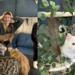 Inside The Cat Cafe at Manchester’s Barton Arcade