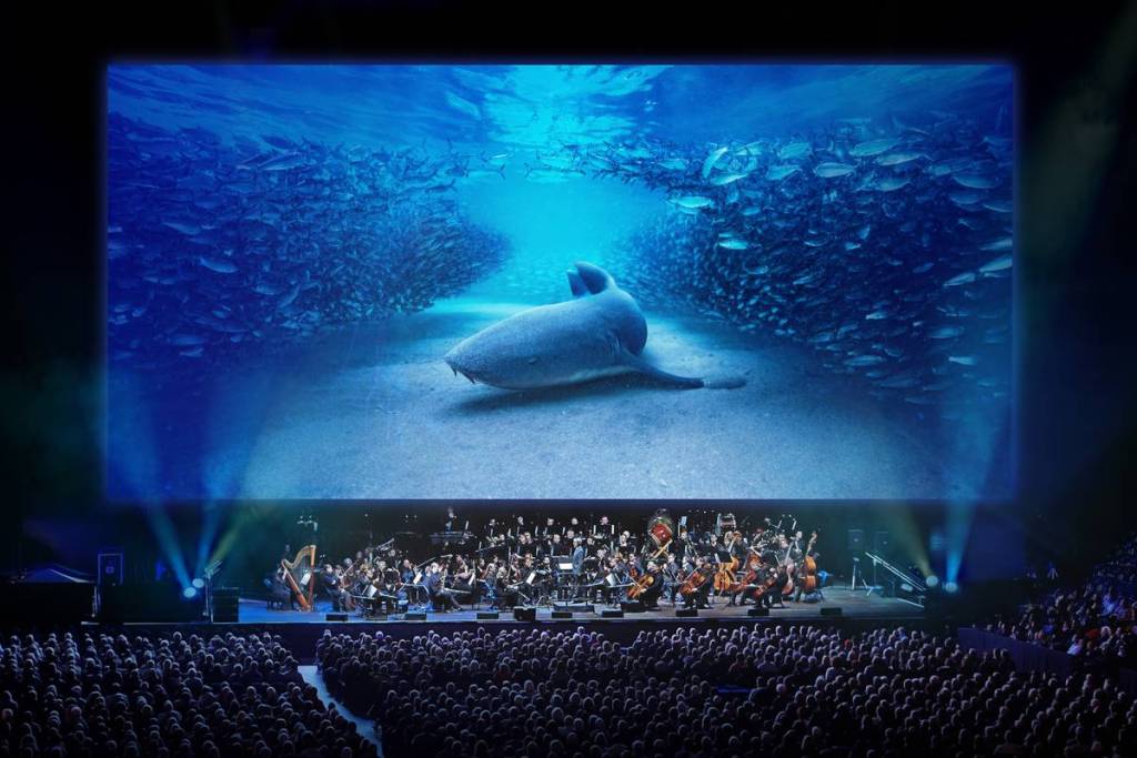 a large orchestra perform under a giant screen depicting a shark swimming among a shoal of fish
