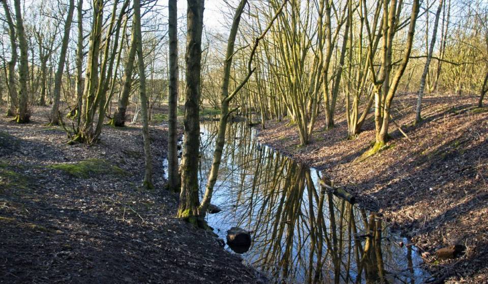 In 1794, a 10-acre reservoir was dug to power Salford coal pits; 232 years later, the former colliery site is a Green Flag nature reserve with scenic railway trails