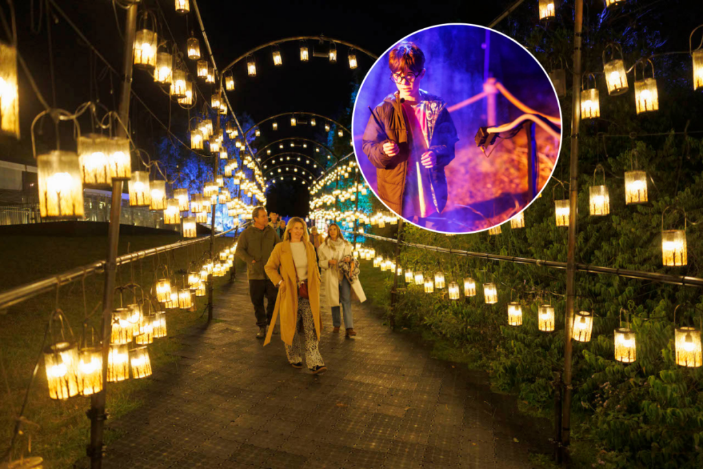 A blockbuster woodland light trail, inspired by the Forbidden Forest in Harry Potter, will open near Manchester for a limited winter run