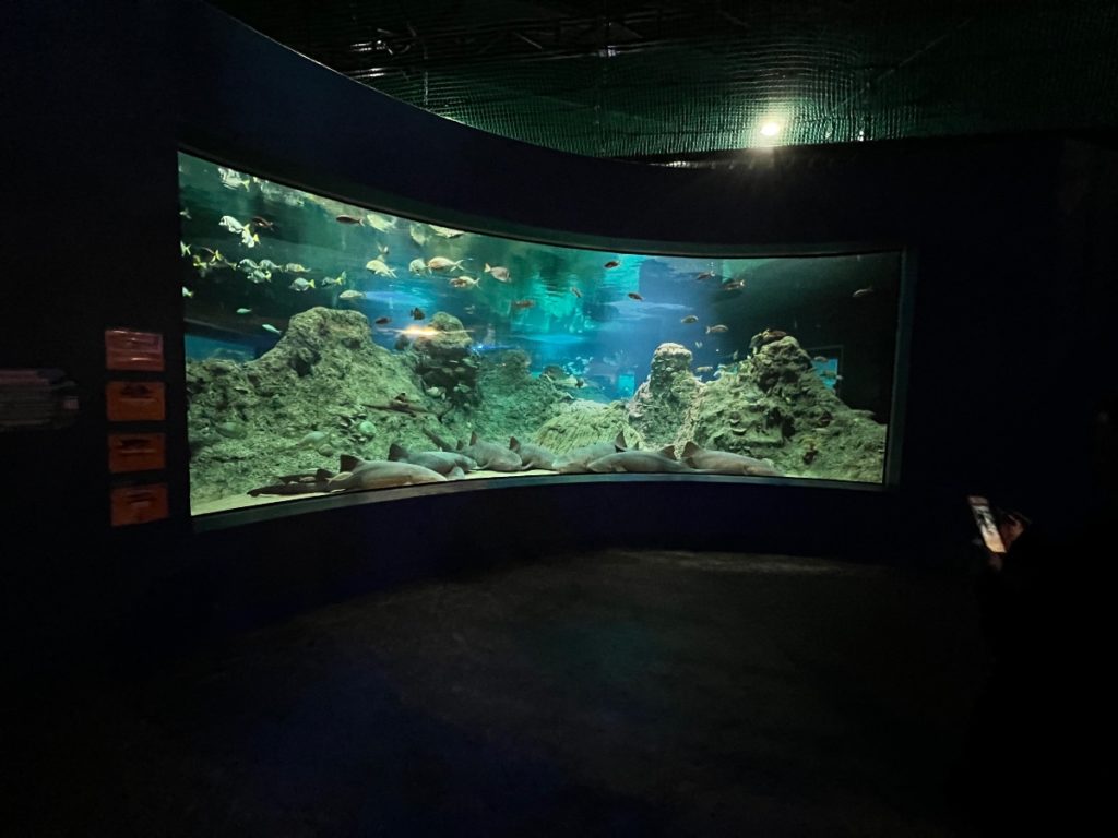 acuario michin puebla
