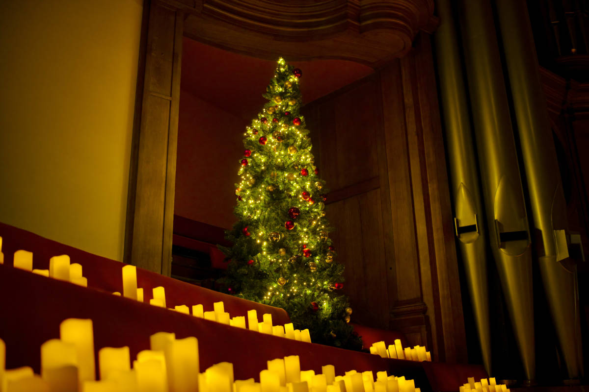 Muchas velas Candlelight iluminan unos escalones con luz cálida y, a lo alto, un gran árbol está decorado con adornos y luces navideñas