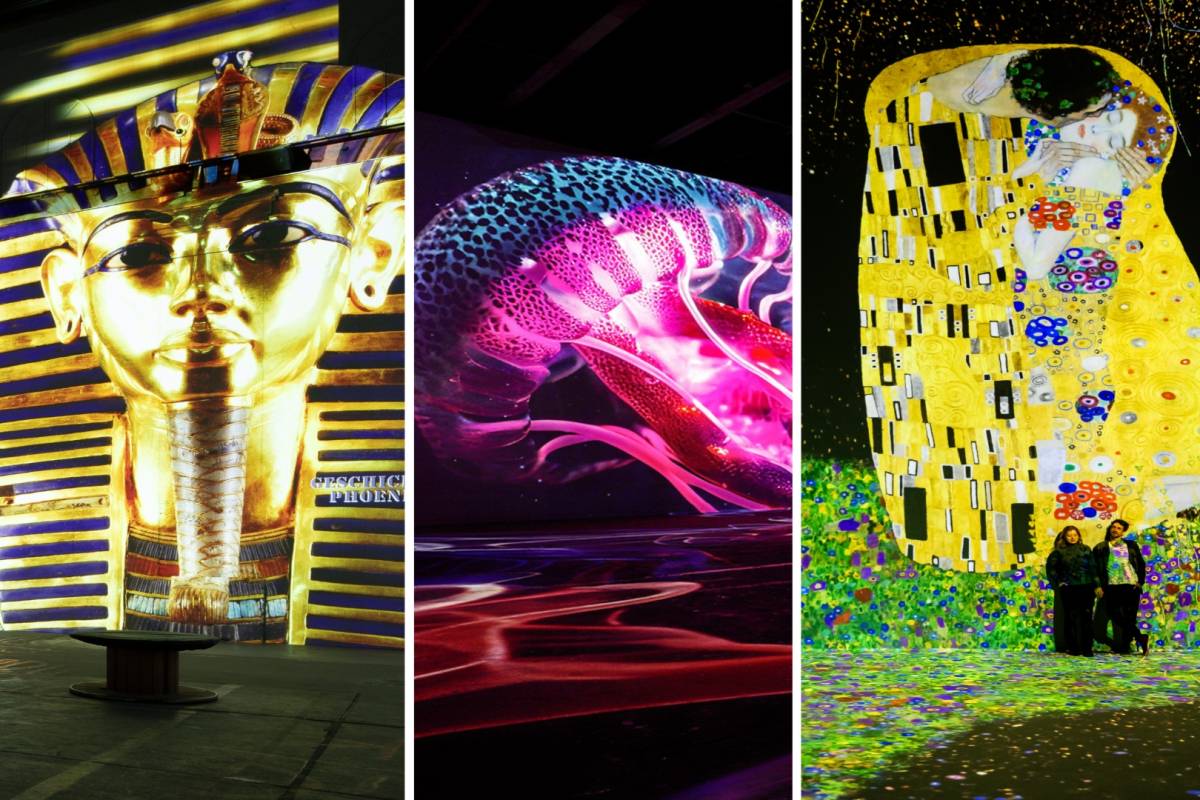 Phoenix des Lumières Ausstellungen