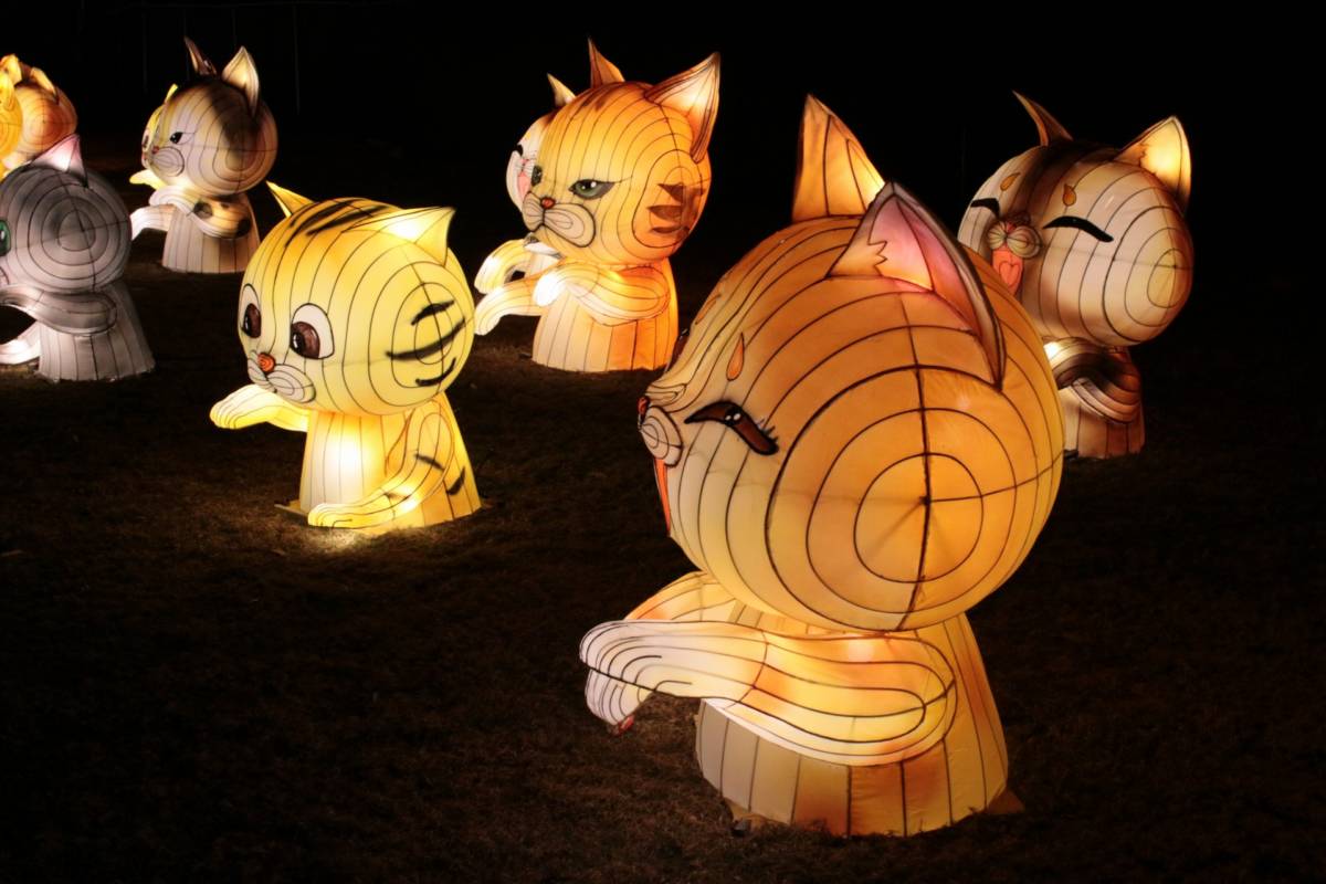 AAutumn Glow Festival Eureka