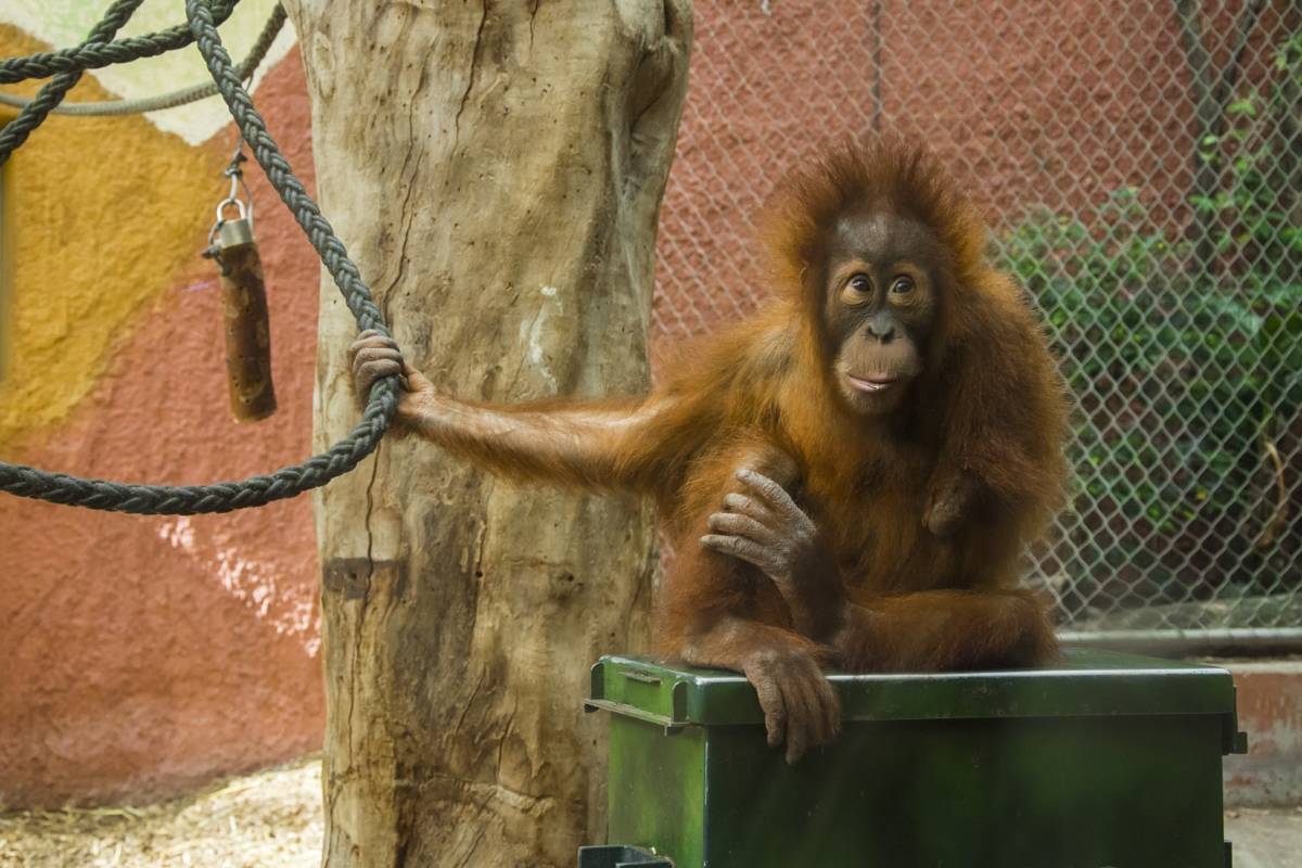 Aktivitäten mit Kindern im Dortmunder Zoo