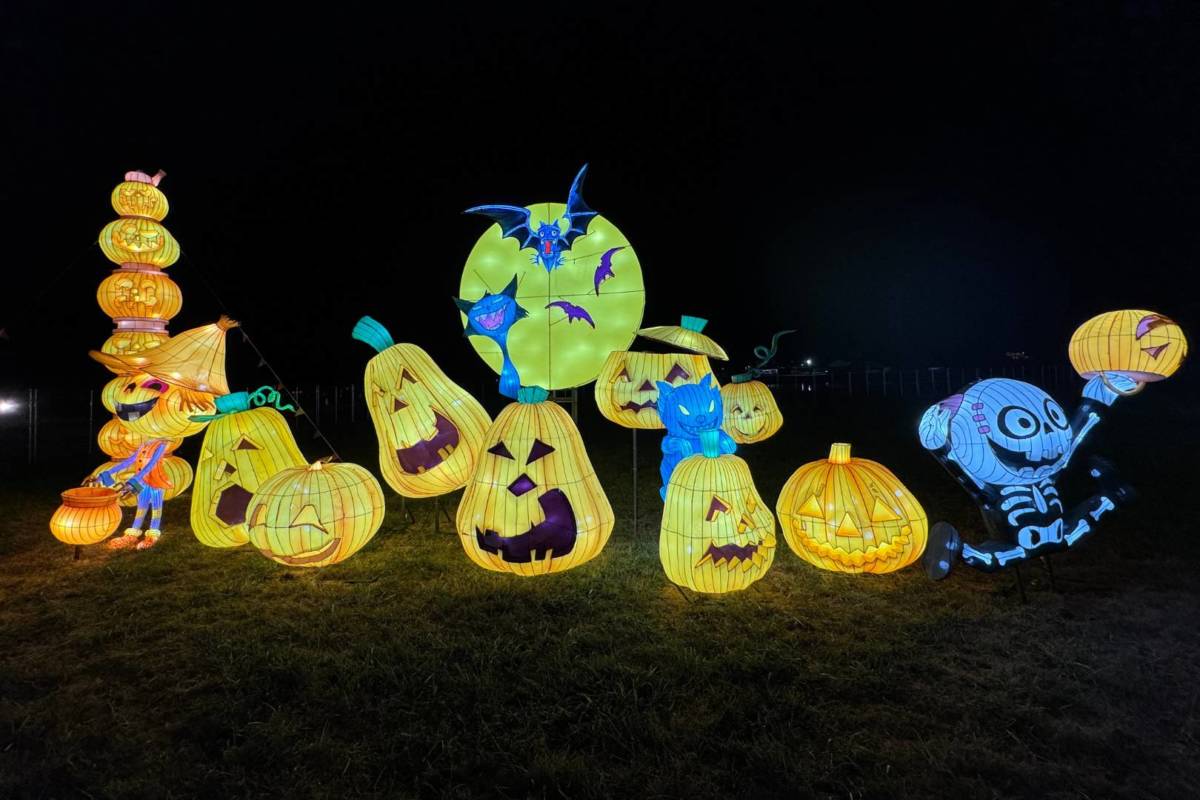 Autumn Glow Festival Eureka