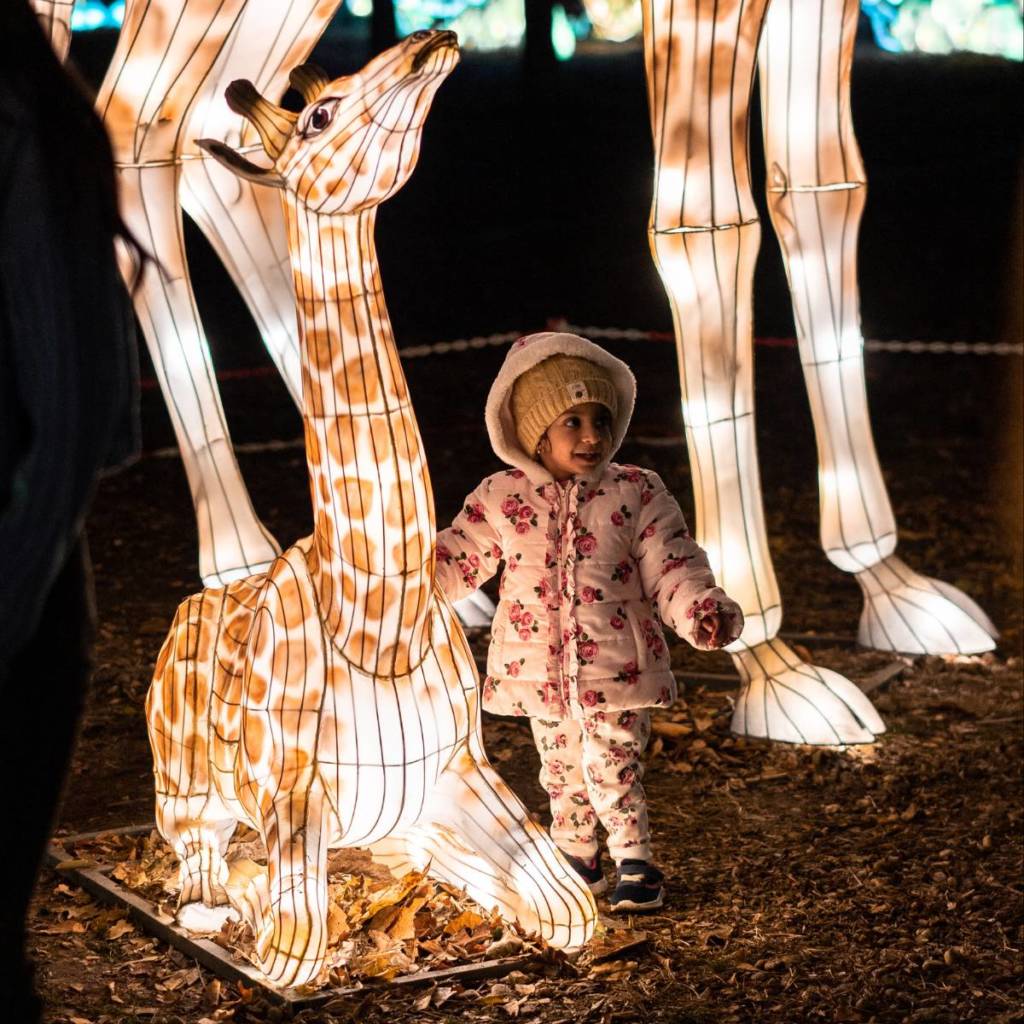 Autumn Glow Festival