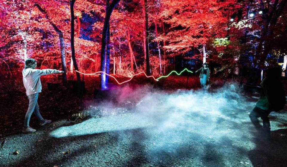 The Forbidden Forest Experience About An Hour From Milwaukee Extends Its Run Until Early January
