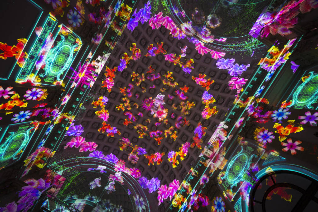 a swirl of vibrant flowers are projected on the ceiling at the Enlightenment show