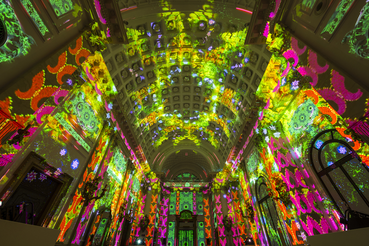 vibrant projections of flowers illuminate a historic hall at the Enlightenment show