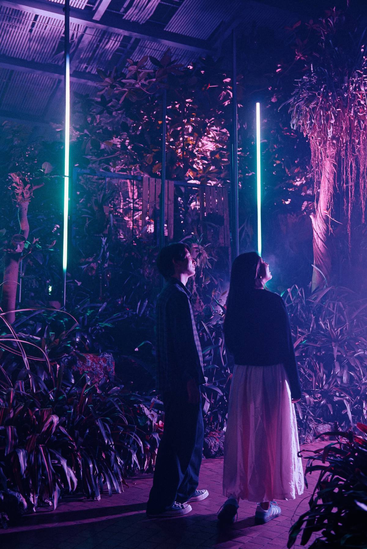 ゾーン4:FOREST FREQUENCIES