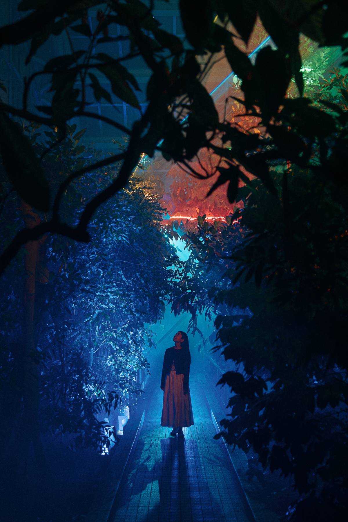 ゾーン2:MEMORY OF WATER