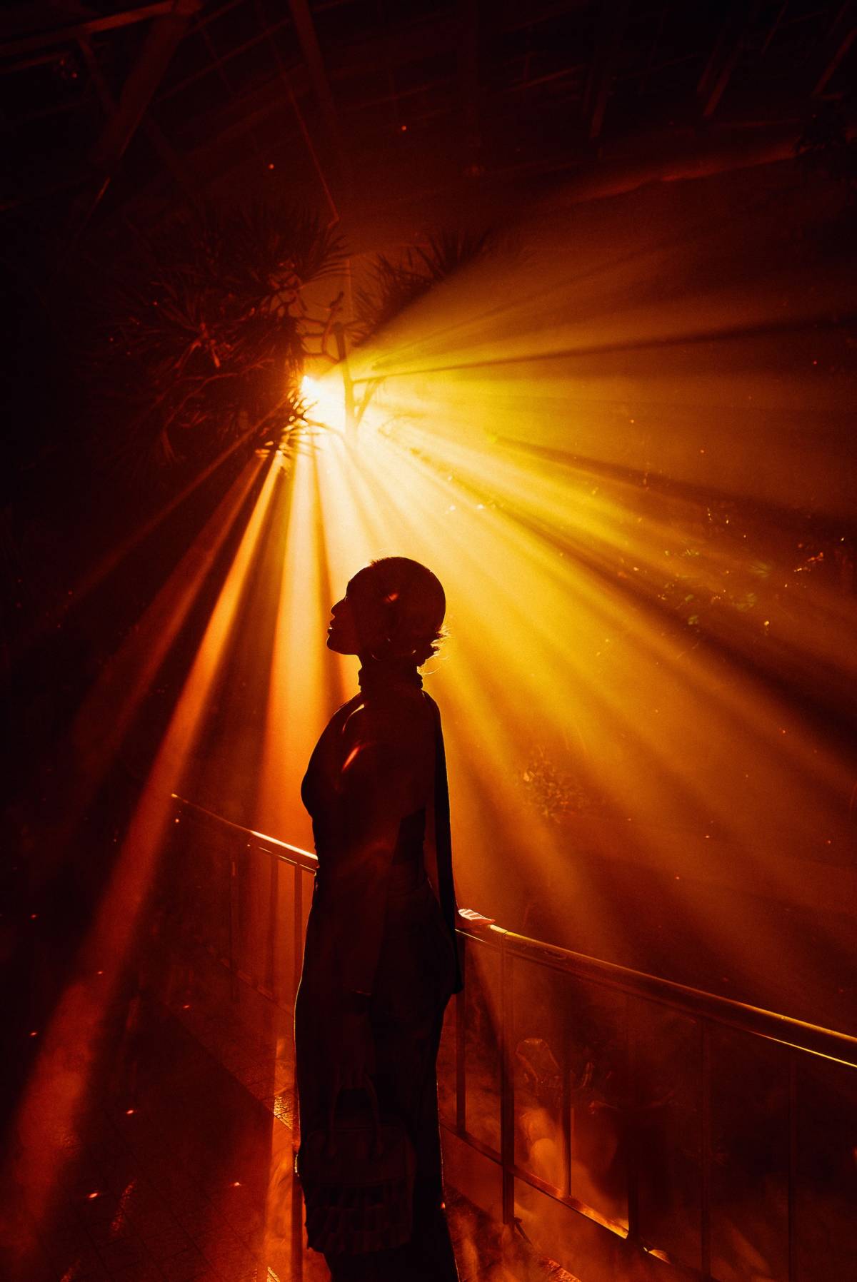 ゾーン1:LIGHT WILL FIND YOU