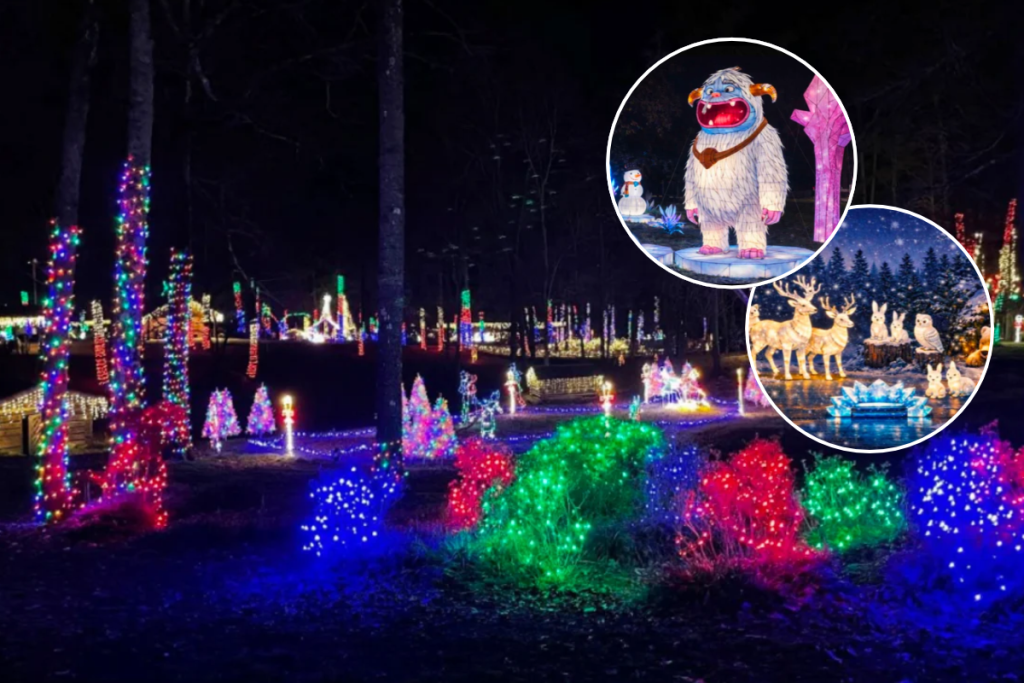 Experience hundreds of handcrafted lights at the Winter Lantern Festival opening near Newport News