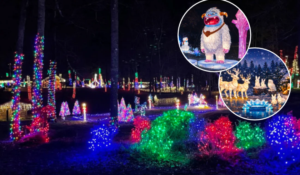 Experience hundreds of handcrafted lights at the Winter Lantern Festival opening near Newport News