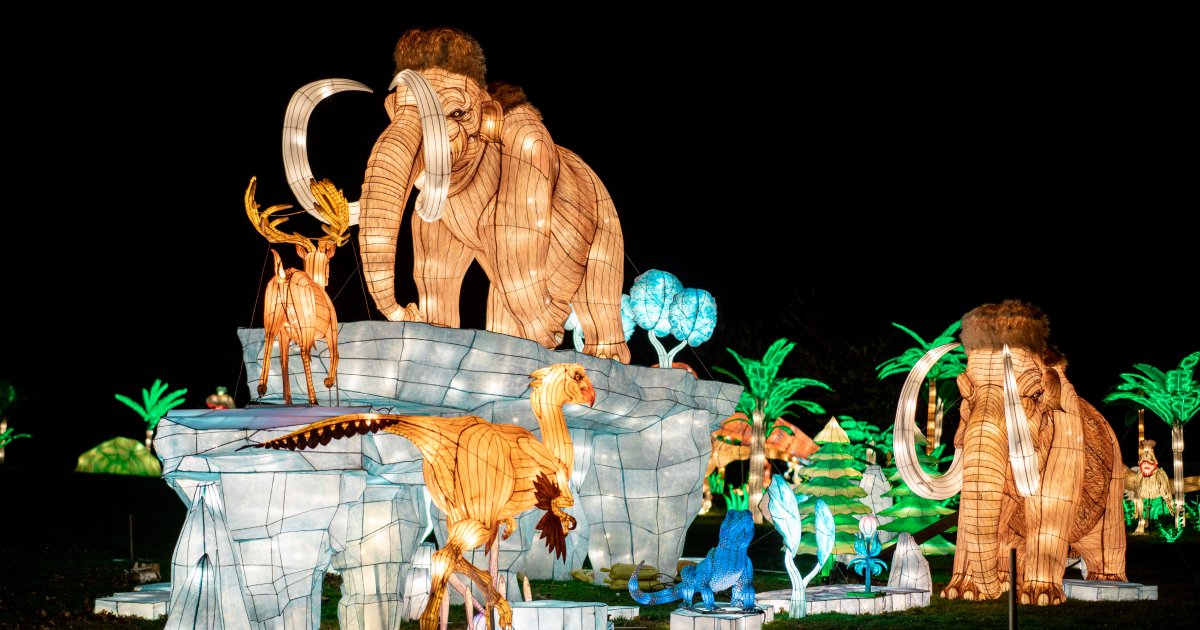 Winter Lantern Festival