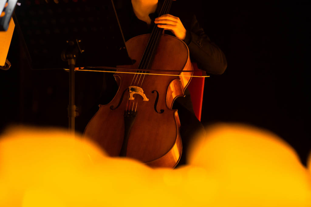 Un musicista suona un violoncello nei concerti Candlelight a Pescara