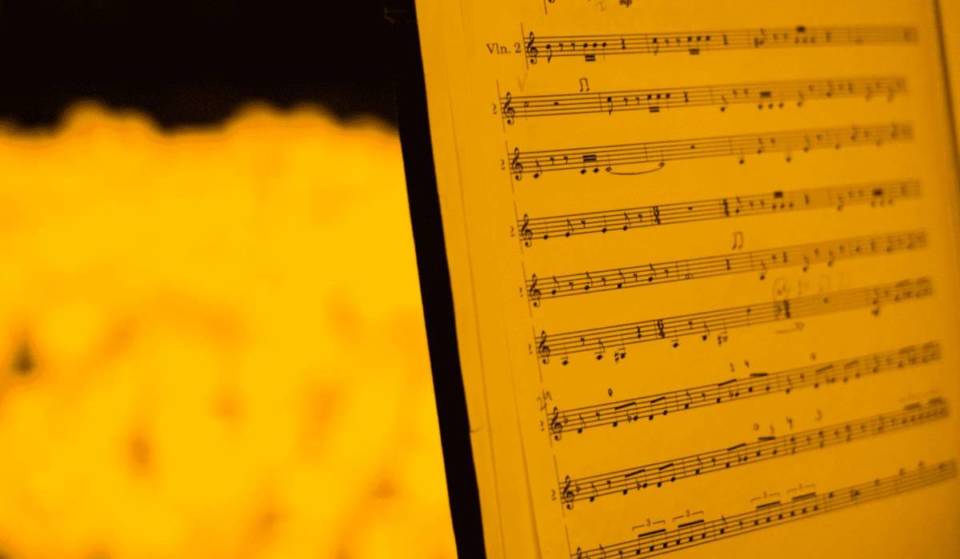 Florianópolis se transforma em cenário de sonho, onde o som das cordas e o brilho das velas se unem para criar noites inesquecíveis de pura magia