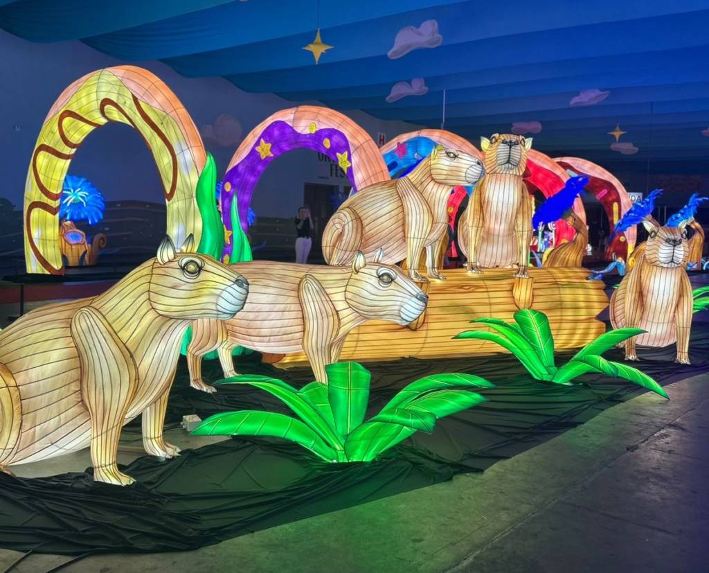 luminous show blumenau