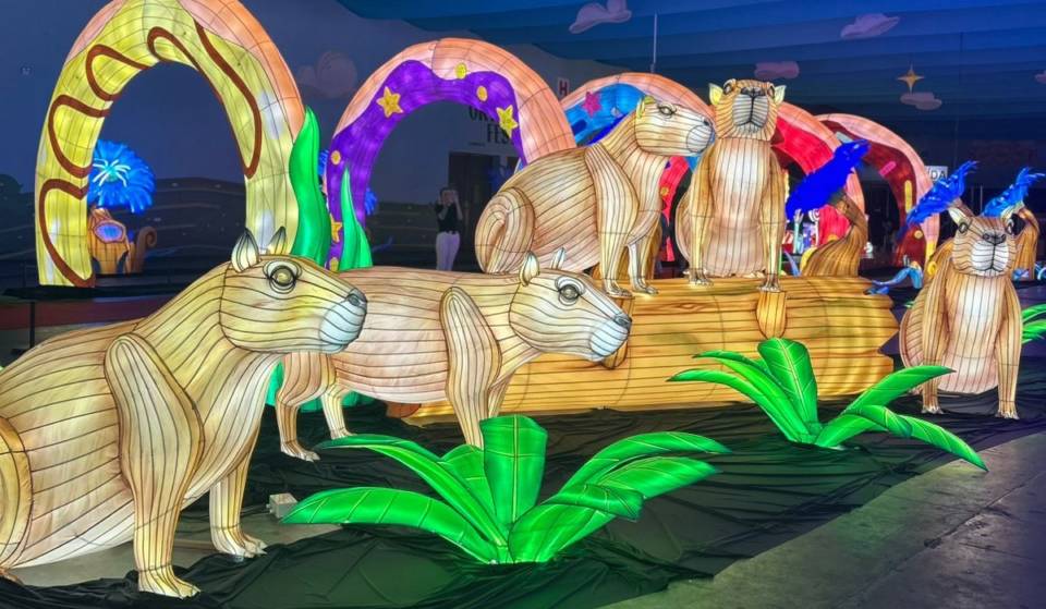 Luminous Show: o encantador espetáculo de luzes já está de portas abertas em Blumenau