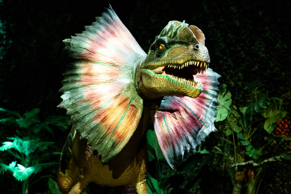 L&rsquo;expérience immersive autour des dinosaures Dinos Alive s&rsquo;est installée à Casablanca