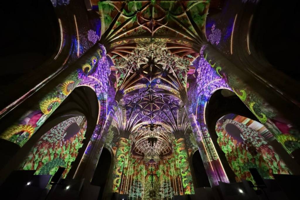 Ein farbenfrohes, sinnliches und musikalisches Lob an den ewigen Kreislauf des Lebens in der Düsseldorfer Johanneskirche