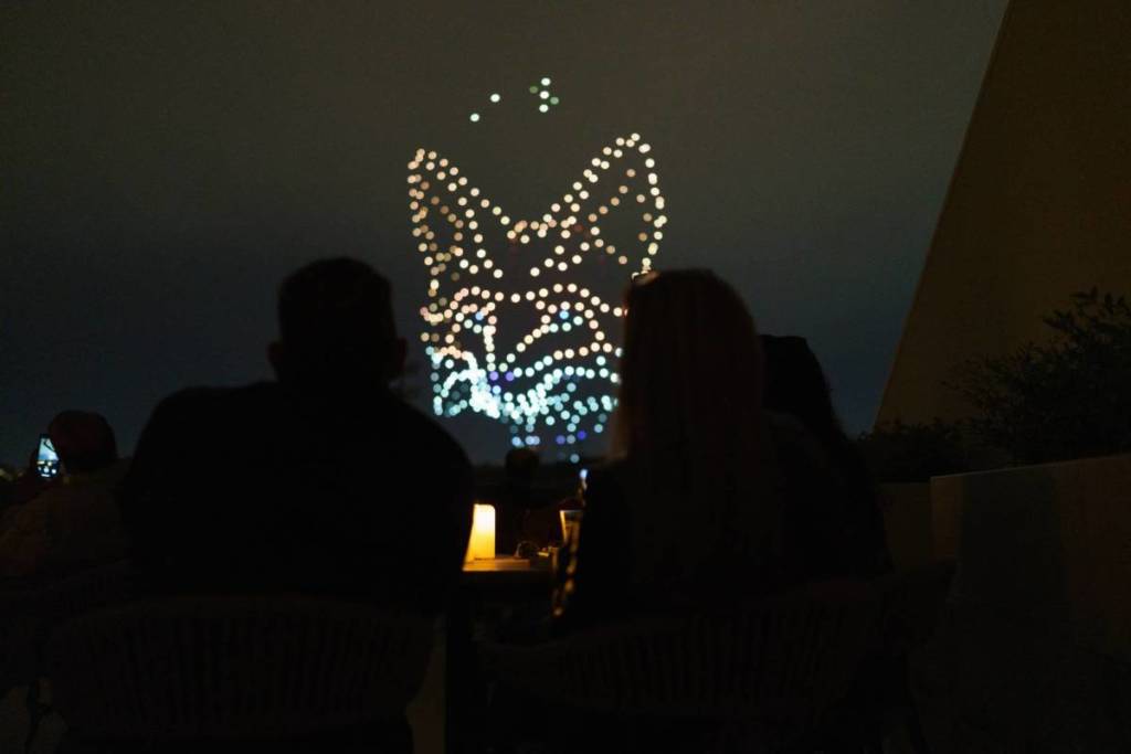 DroneArt Show