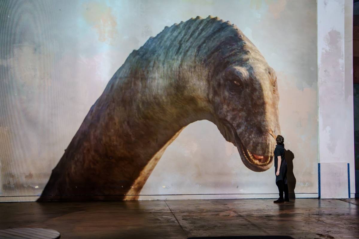 Dinosaurier Phoenix des Lumières