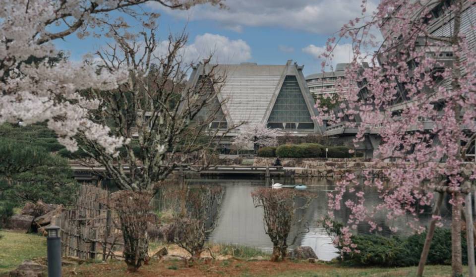 A Hidden Cherry Blossom Gem: The Kyoto International Conference Center Will Open Its Japanese Garden For 3 Days Only