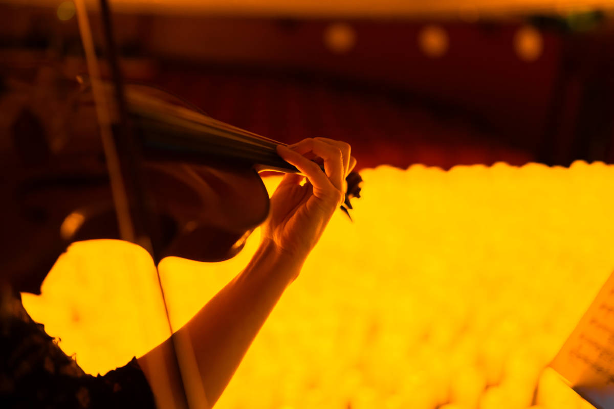 Close up of a musician playing the violin