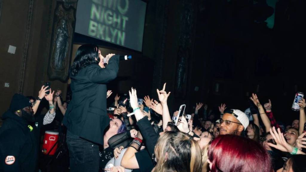 Photo de la soirée Emo Night