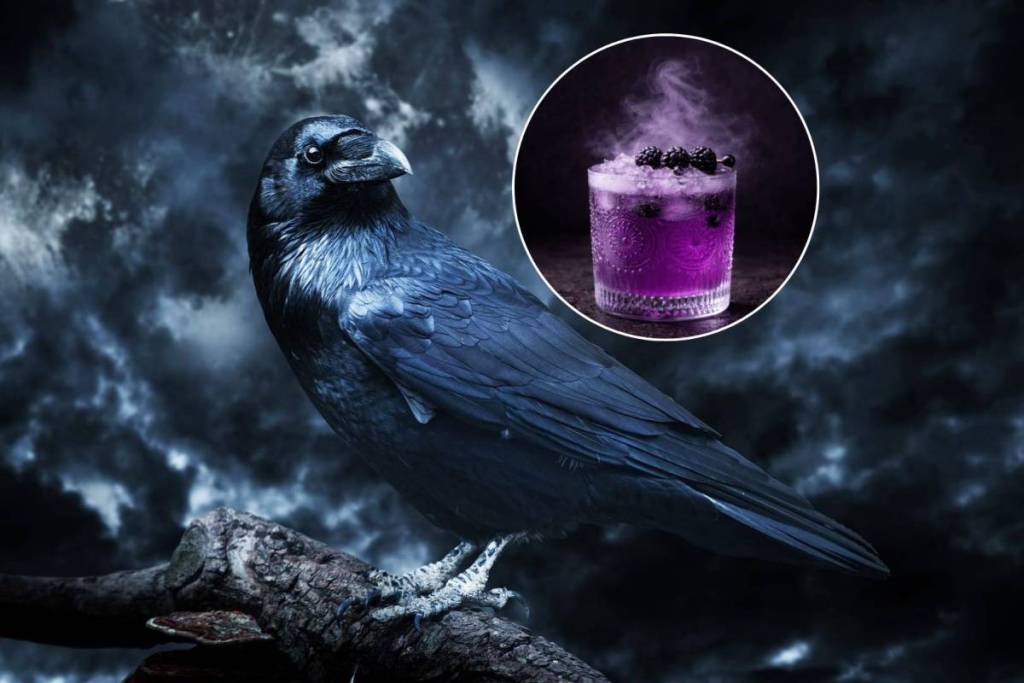 Primer plano de un cuervo y primer plano de un cocktail, ambas partes fundamentales de Edgar Allan Poe Speakeasy.