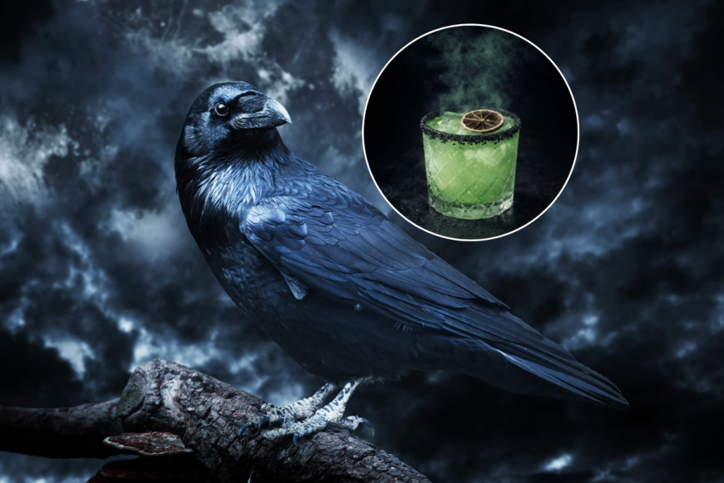 Primer plano de un cuervo haciendo referencia al relato de Edgar Allan Poe y primer plano de un cóctel verde.