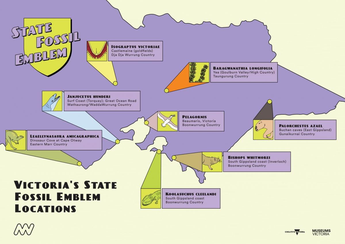 The Future Of Victoria's State Fossil Emblem Lies In Your Hands