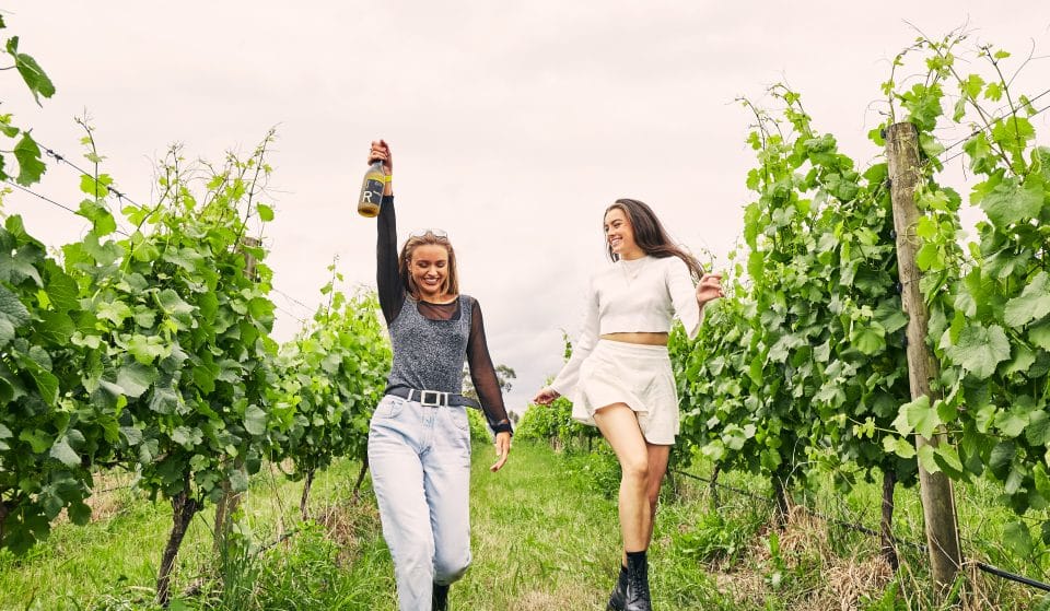 Have A Grape Time At Grapevine Gathering With The Kooks, Peking Duk And More