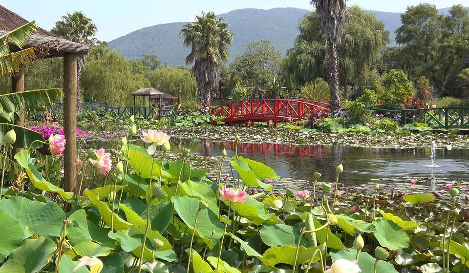 This Enchanting Garden 90 Minutes Away From Melbourne Has Monet’s Original Waterlilies — And Kids Under 15 Can Visit For Free