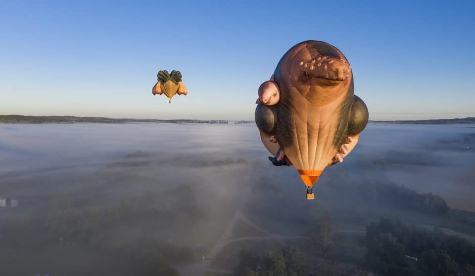 A Family Of Gigantic Skywhale Hot Air Balloons Will Soon Soar Across Melbourne’s Skies