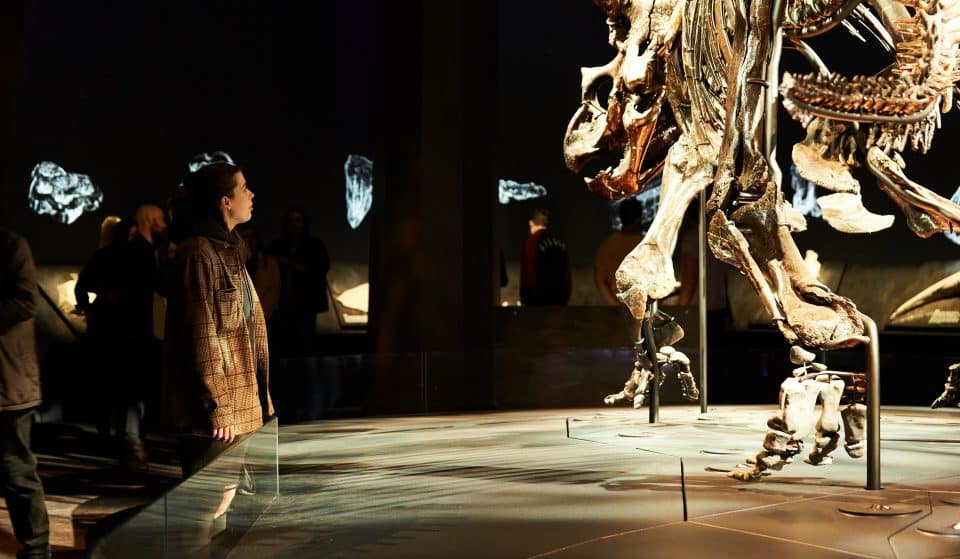 Stay Out After Dark With Saturday Sessions At Melbourne Museum